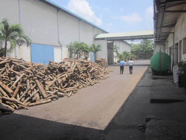 Củi cao su Thanh Lương Phúc