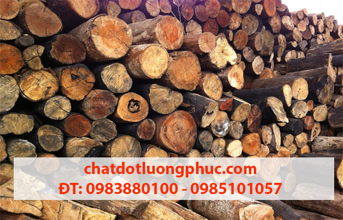Củi tạp rừng chất lượng cao giá rẻ hay gọi ngay 0983880100